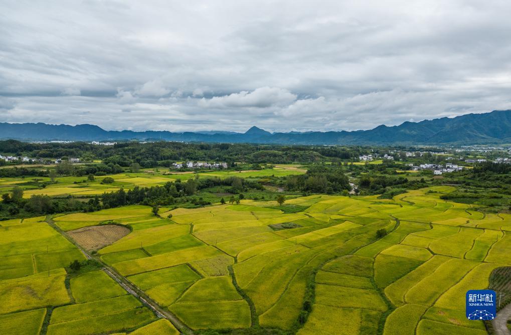 玩家世界登录